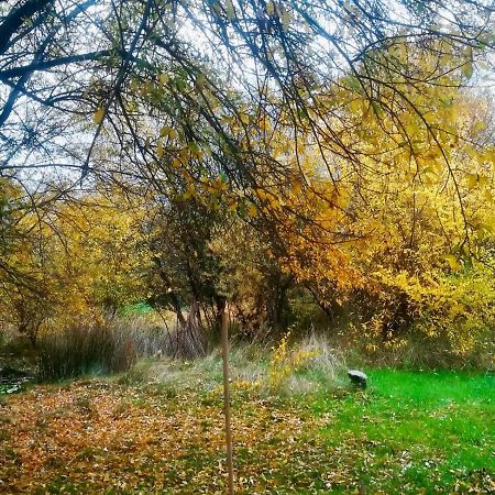 La Yurta De Gaia Βίλα San Lorenzo de El Escorial Εξωτερικό φωτογραφία