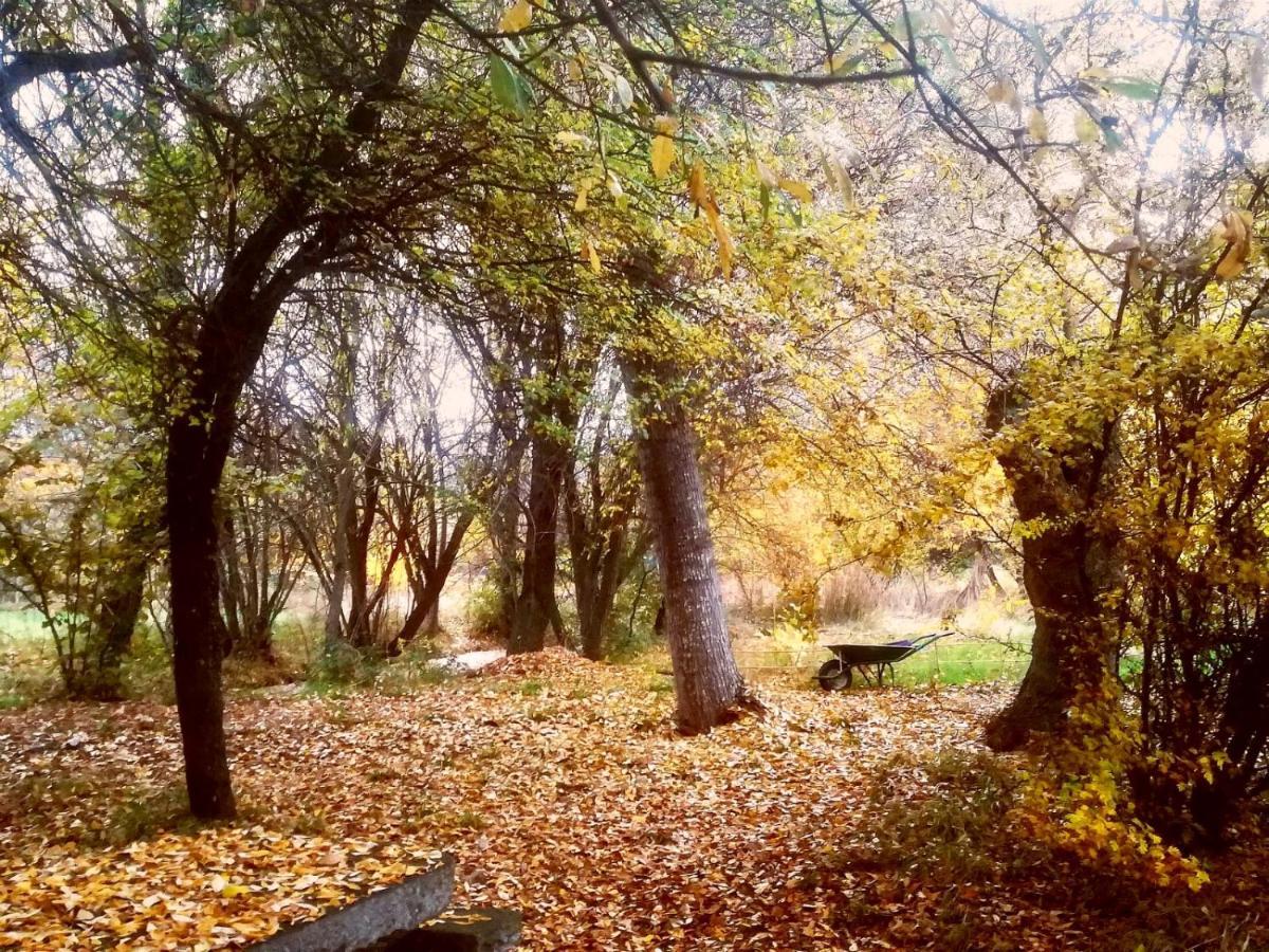 La Yurta De Gaia Βίλα San Lorenzo de El Escorial Εξωτερικό φωτογραφία